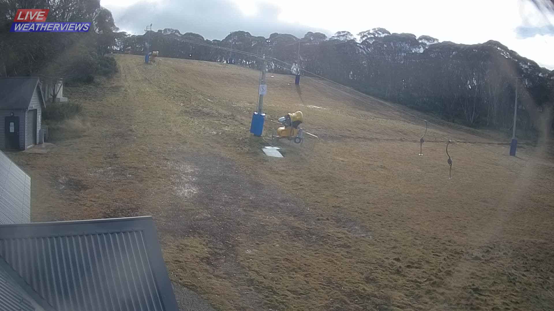 Dinner Plain Cobungra Platter snow cam captured at 15 June 2026, 12:49 am