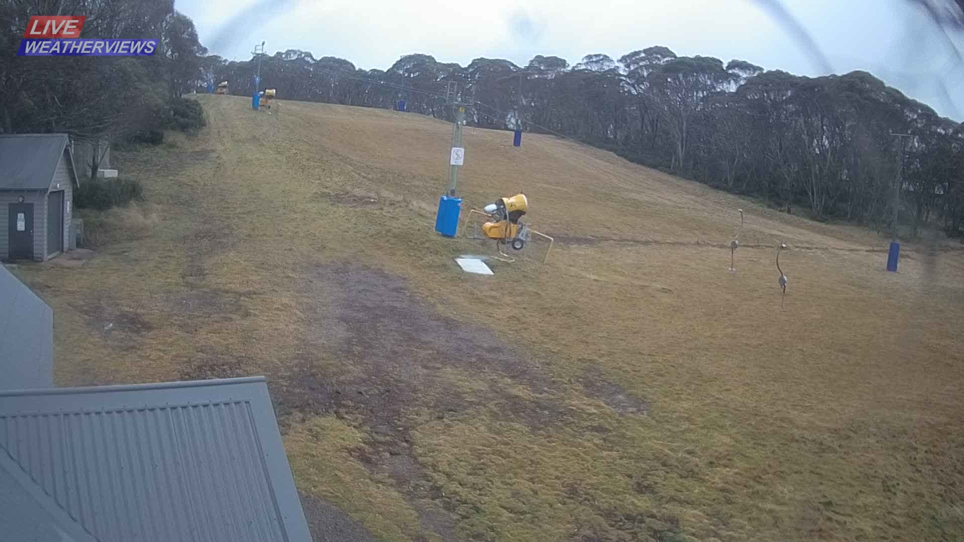 Dinner Plain Cobungra Platter snow cam captured at 15 June 2026, 9:56 pm