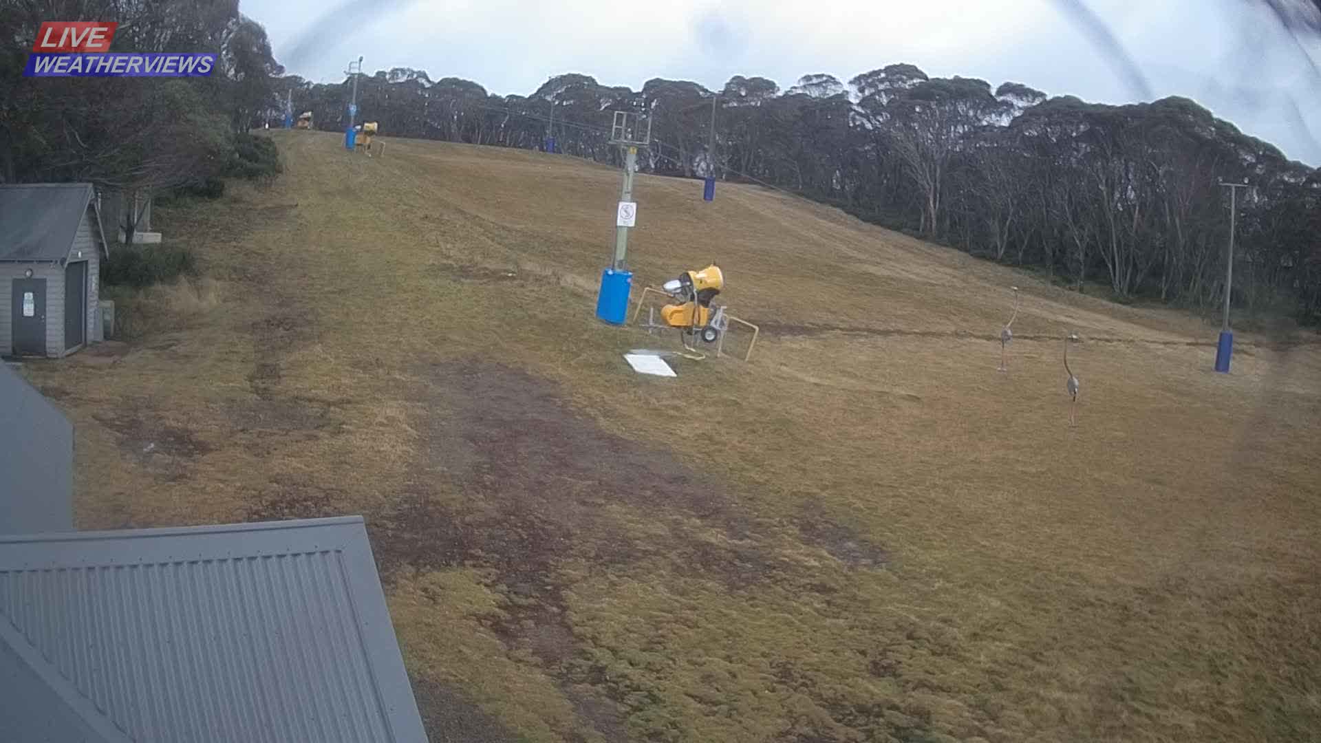 Dinner Plain Cobungra Platter snow cam captured at 15 June 2026, 10:38 pm