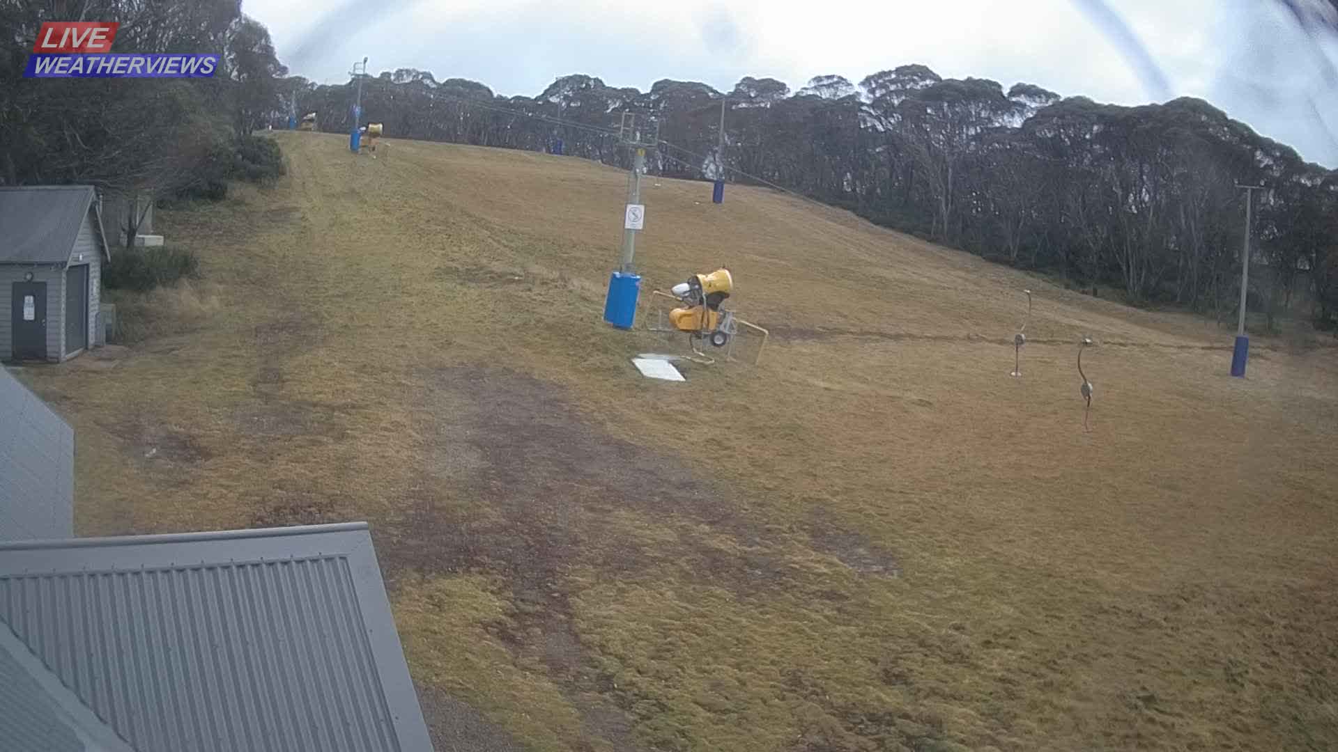Dinner Plain Cobungra Platter snow cam captured at 15 June 2026, 11:14 pm
