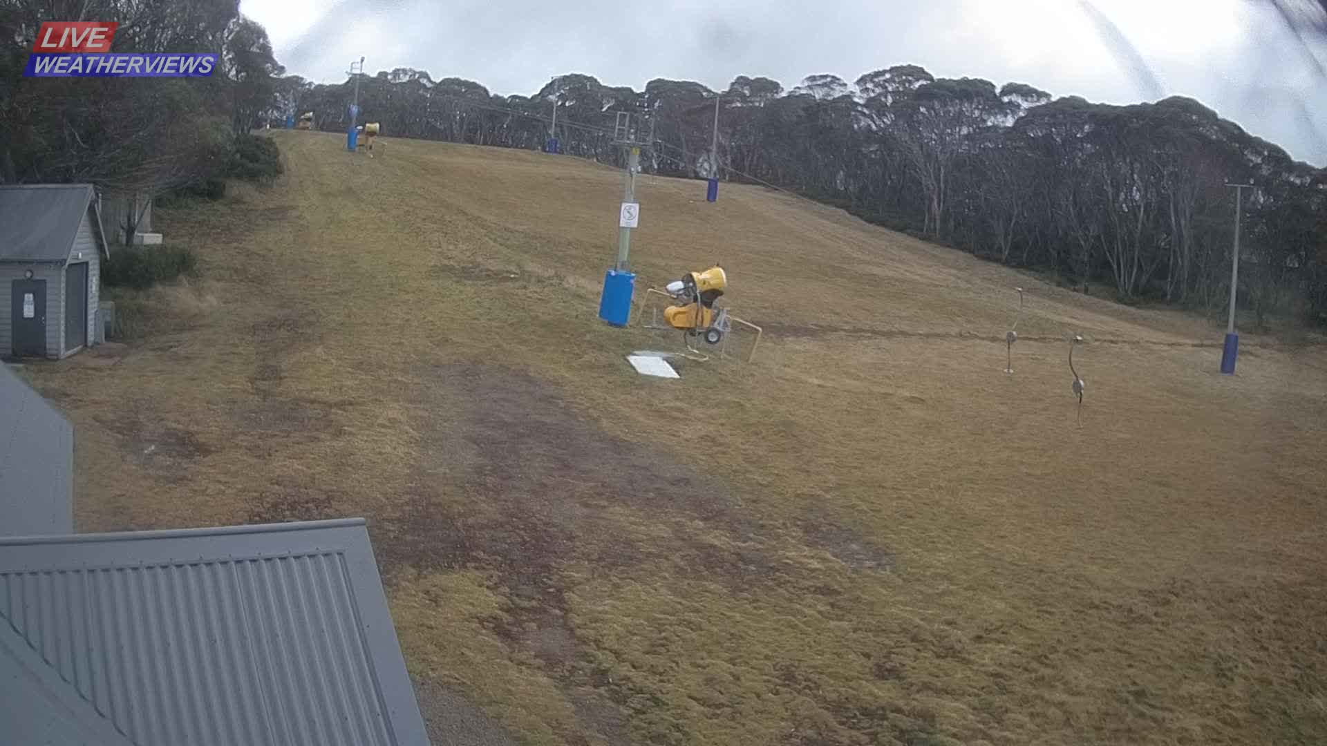 Dinner Plain Cobungra Platter snow cam captured at 15 June 2026, 11:45 pm