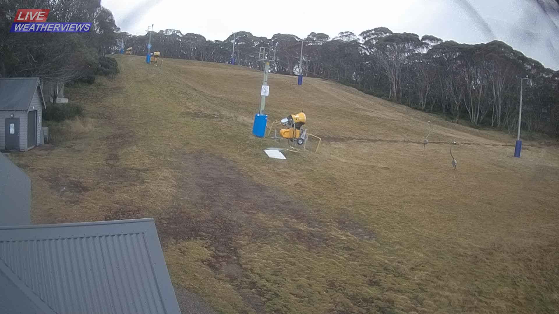 Dinner Plain Cobungra Platter snow cam captured at 15 June 2026, 11:57 pm