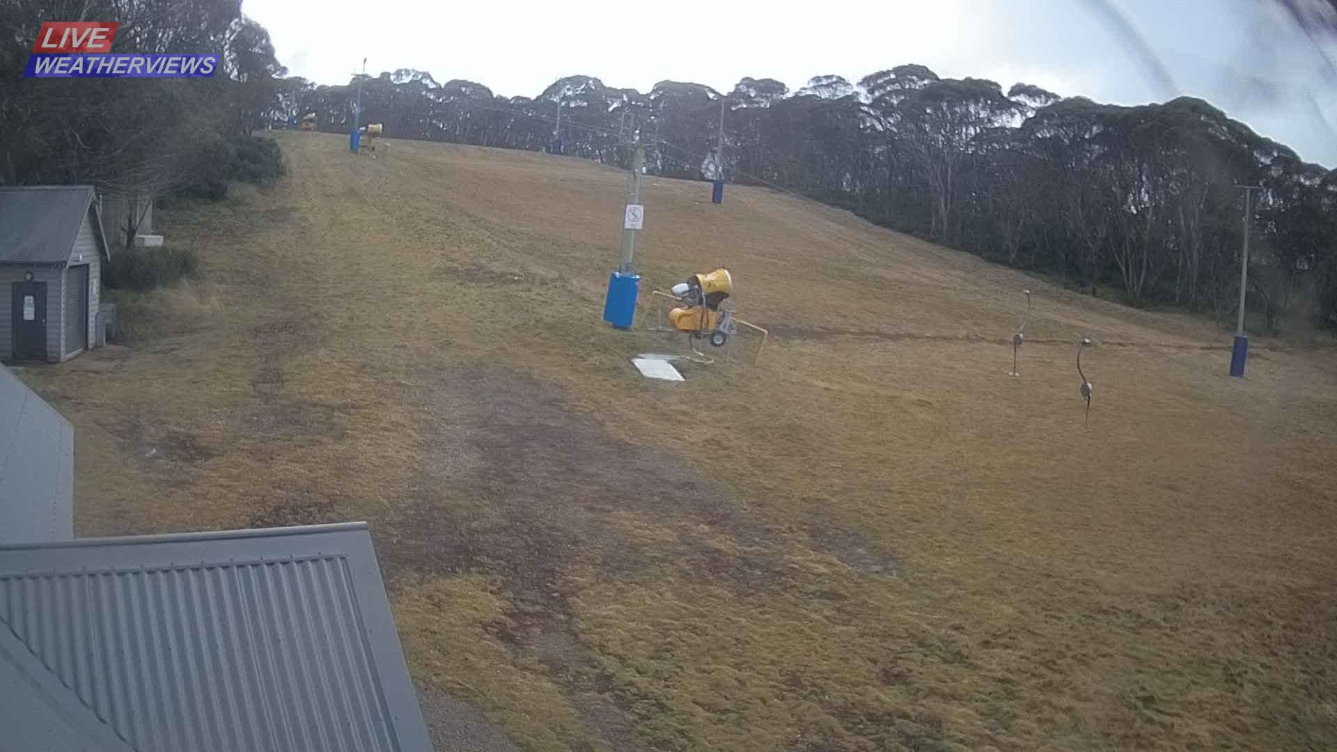Dinner Plain Cobungra Platter snow cam captured at 16 June 2026, 12:03 am