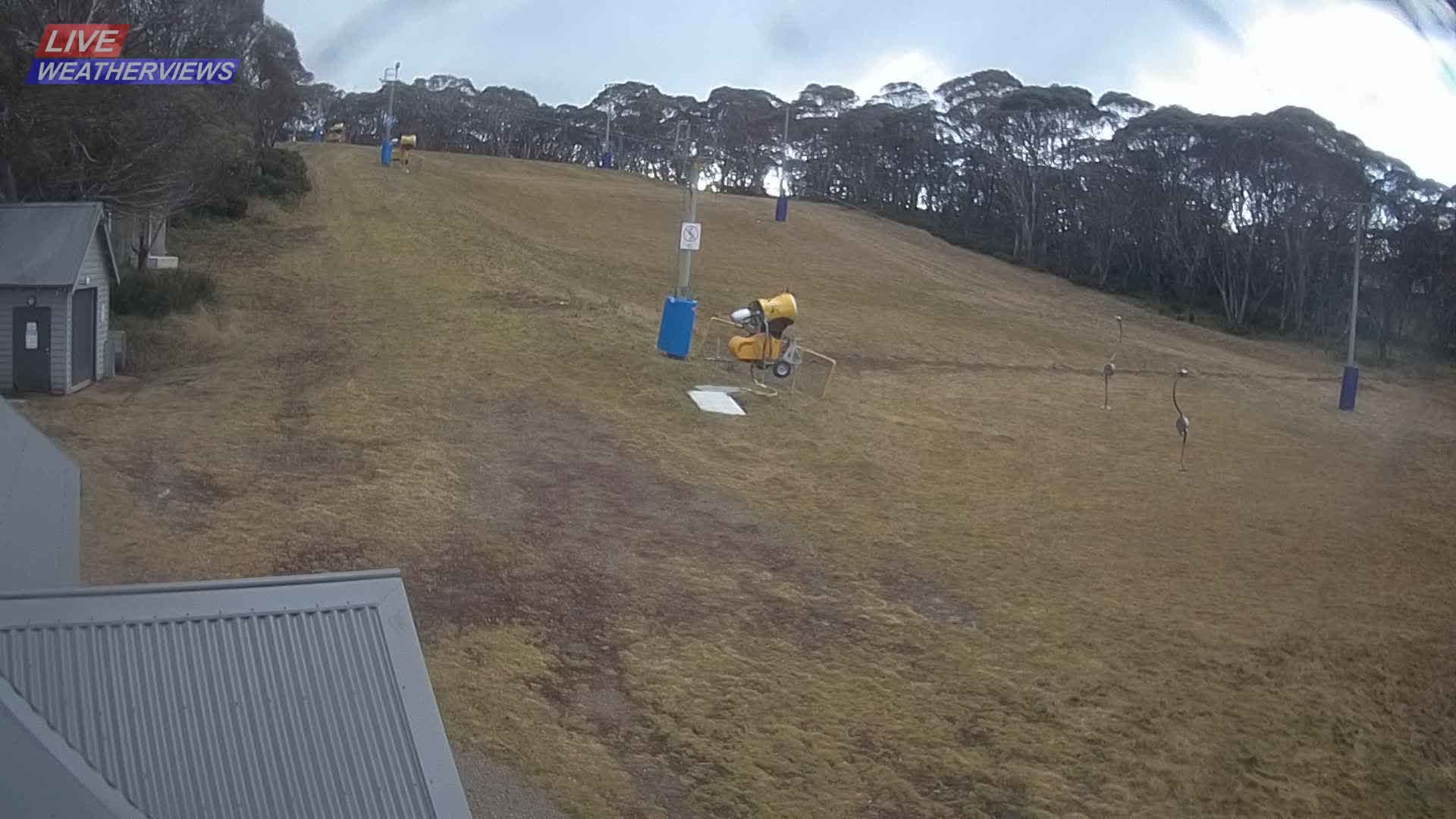 Dinner Plain Cobungra Platter snow cam captured at 16 June 2026, 12:33 am