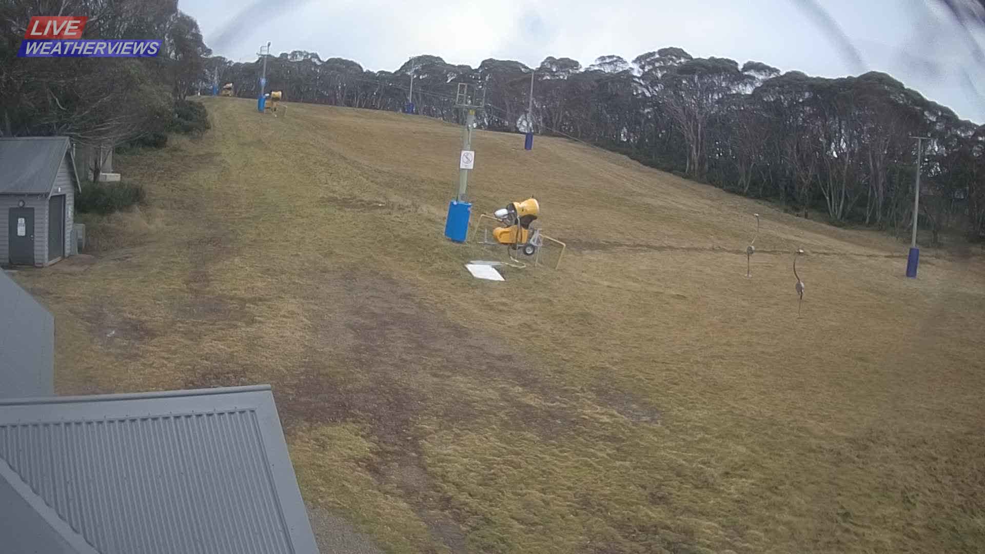Dinner Plain Cobungra Platter snow cam captured at 16 June 2026, 12:45 am