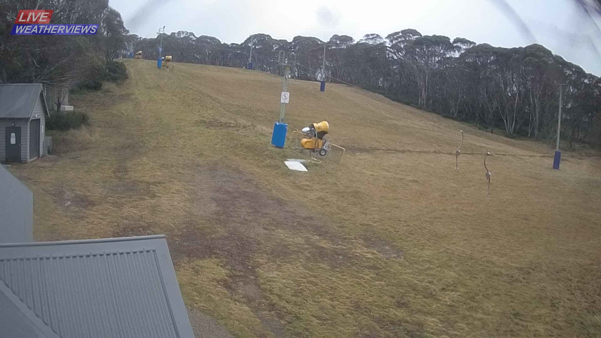 Dinner Plain Cobungra Platter snow cam captured at 16 June 2026, 12:57 am