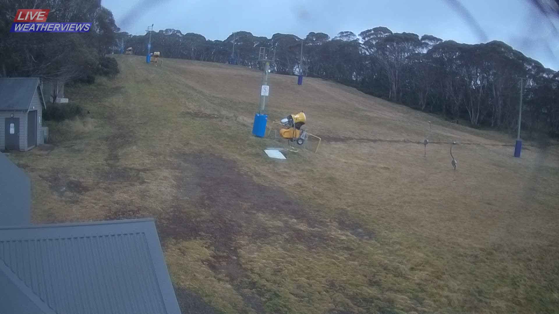 Dinner Plain Cobungra Platter snow cam captured at 16 June 2026, 9:33 pm