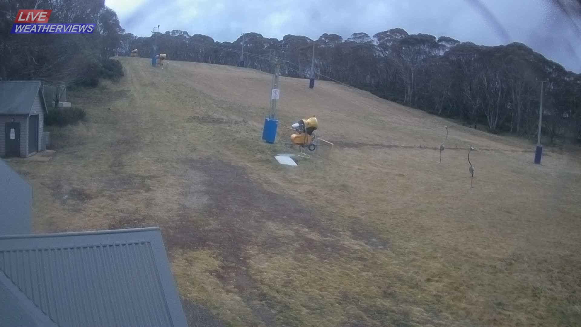 Dinner Plain Cobungra Platter snow cam captured at 17 June 2026, 9:27 pm