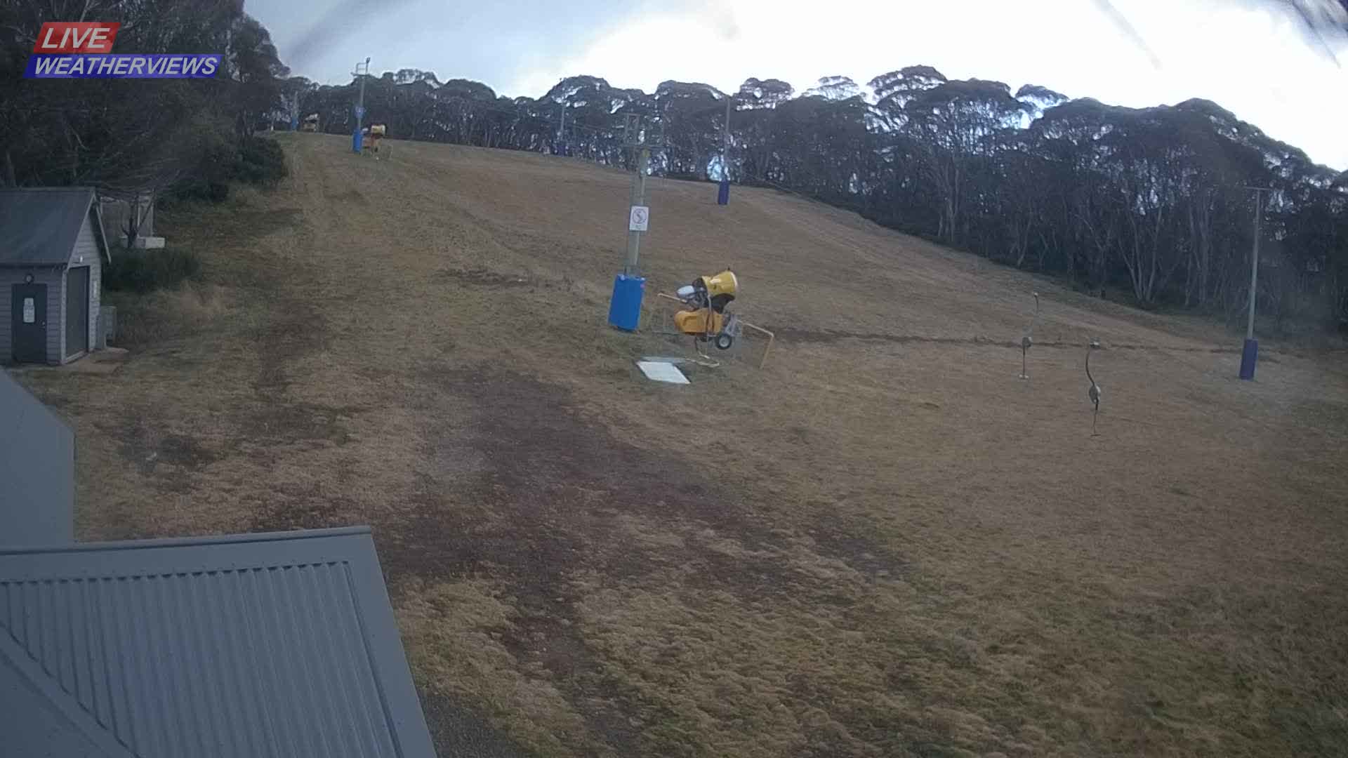Dinner Plain Cobungra Platter snow cam captured at 17 June 2026, 10:03 pm