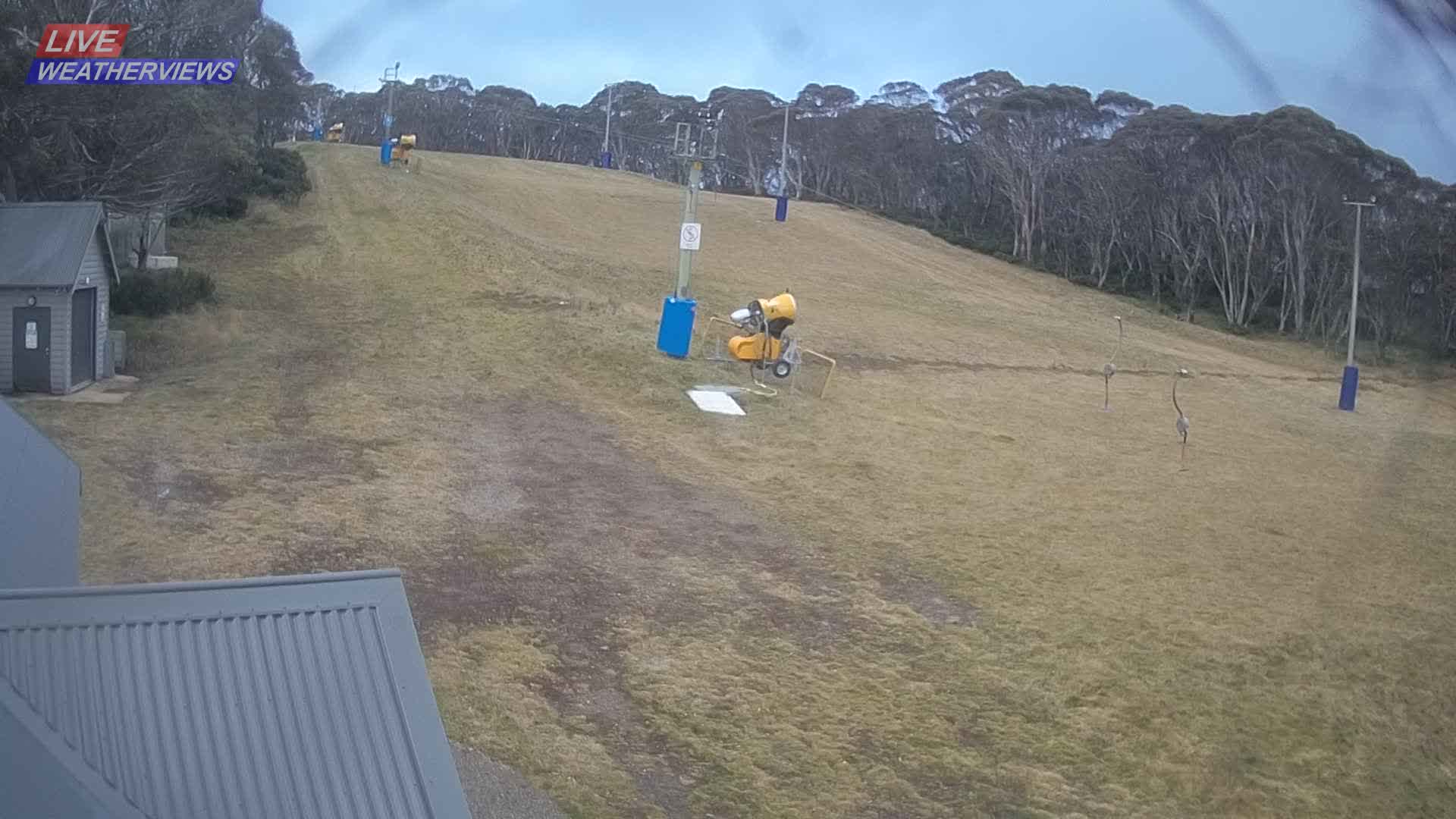 Dinner Plain Cobungra Platter snow cam captured at 17 June 2026, 11:33 pm