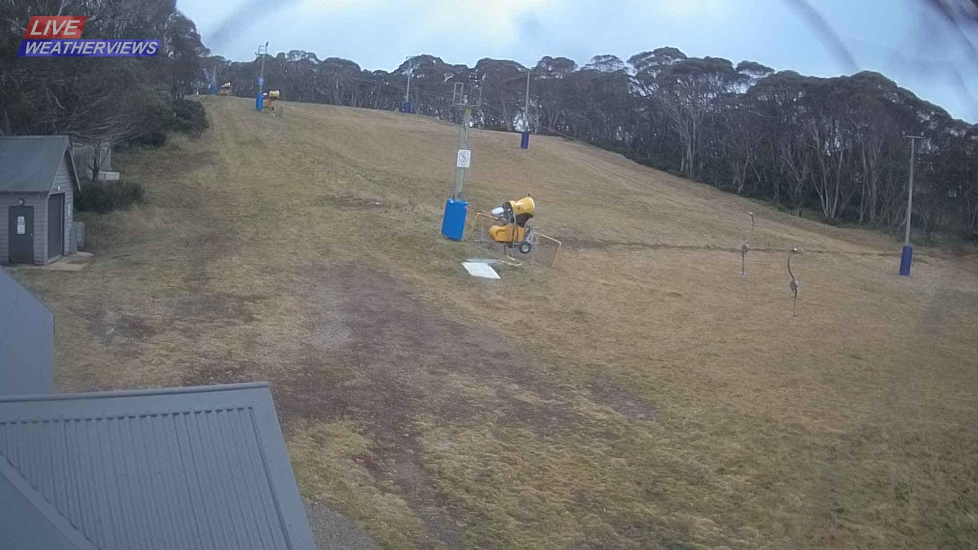 Dinner Plain Cobungra Platter snow cam captured at 17 June 2026, 11:45 pm