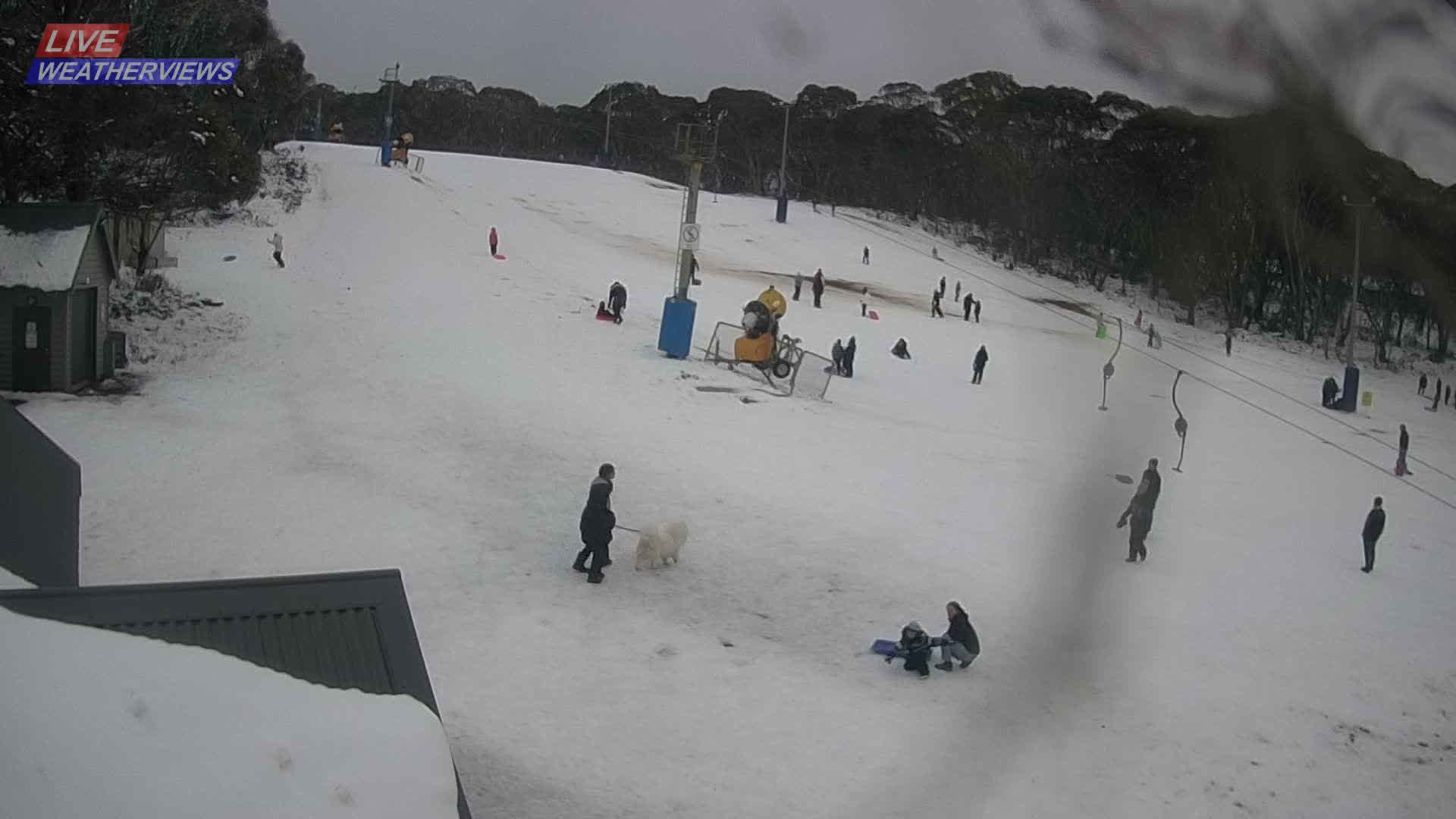 Dinner Plain Cobungra Platter snow cam captured at 5 July 2026 at 4:21 pm AEST
