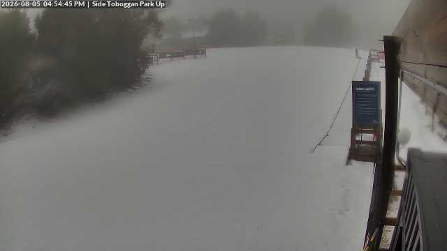 Lake Mountain Mini Toboggan Run snow cam captured at 5 August 2026 at 4:59 pm AEST