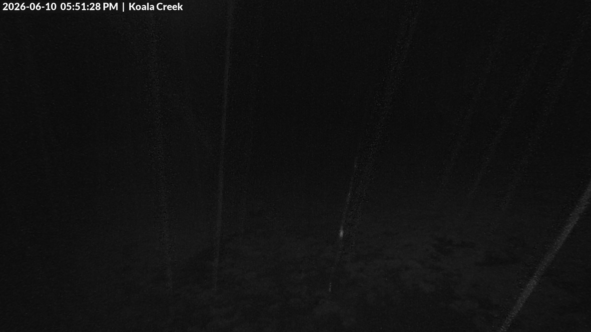 Lake Mountain Village Toboggan Run snow cam captured at 10 June 2026, 9:32 am