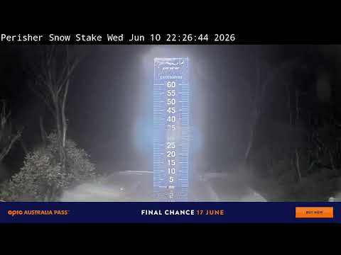 Perisher Snow Stake Live snow cam captured at 10 June 2026, 12:38 pm