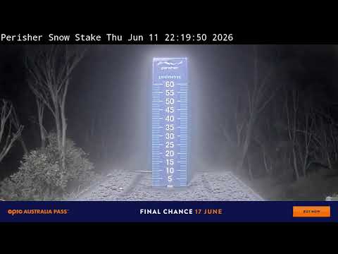 Perisher Snow Stake Live snow cam captured at 11 June 2026, 12:32 pm