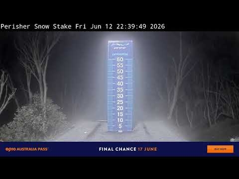 Perisher Snow Stake Live snow cam captured at 12 June 2026, 12:50 pm