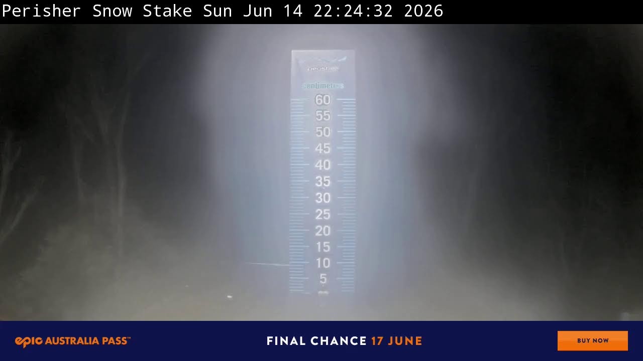 Perisher Snow Stake Live snow cam captured at 14 June 2026, 12:38 pm