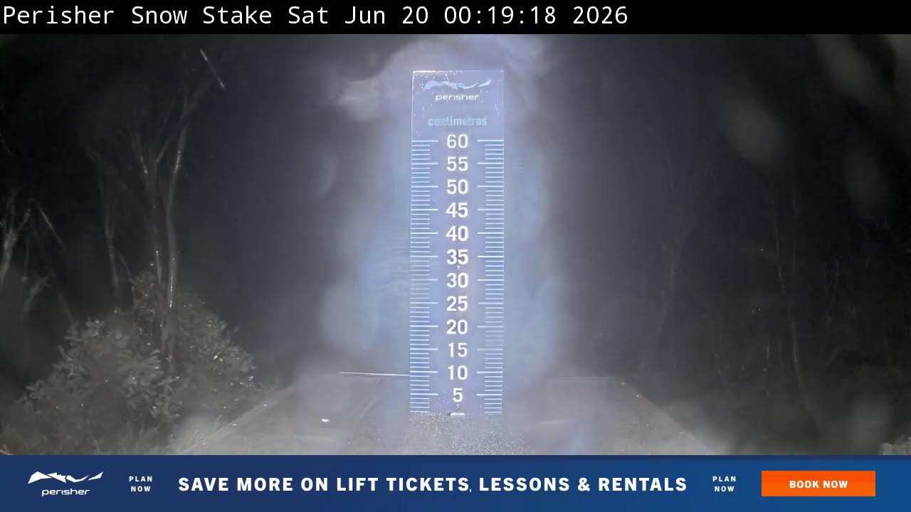 Perisher Snow Stake Live snow cam captured at 19 June 2026, 2:31 pm