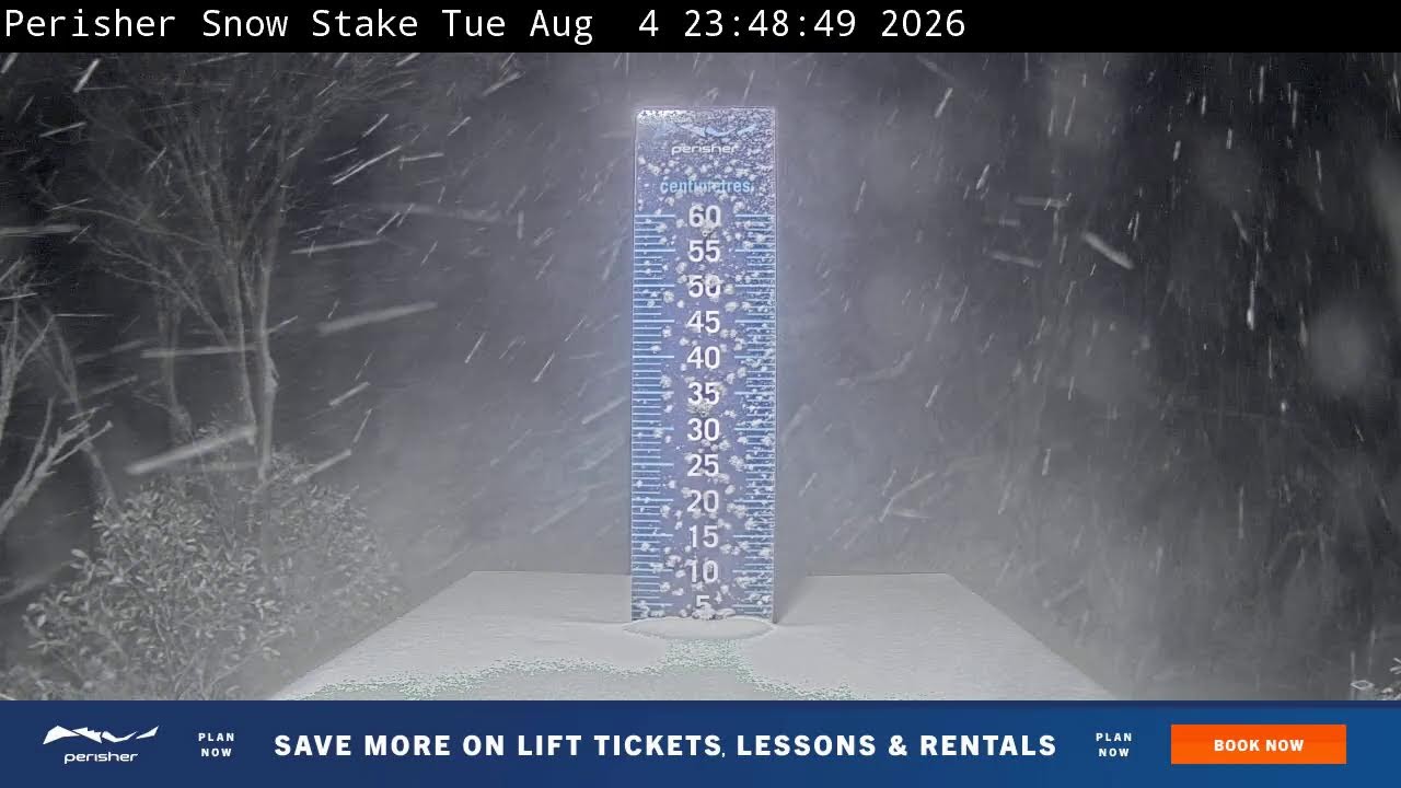 Perisher Snow Stake Live snow cam captured at 4 August 2026 at 11:59 pm AEST