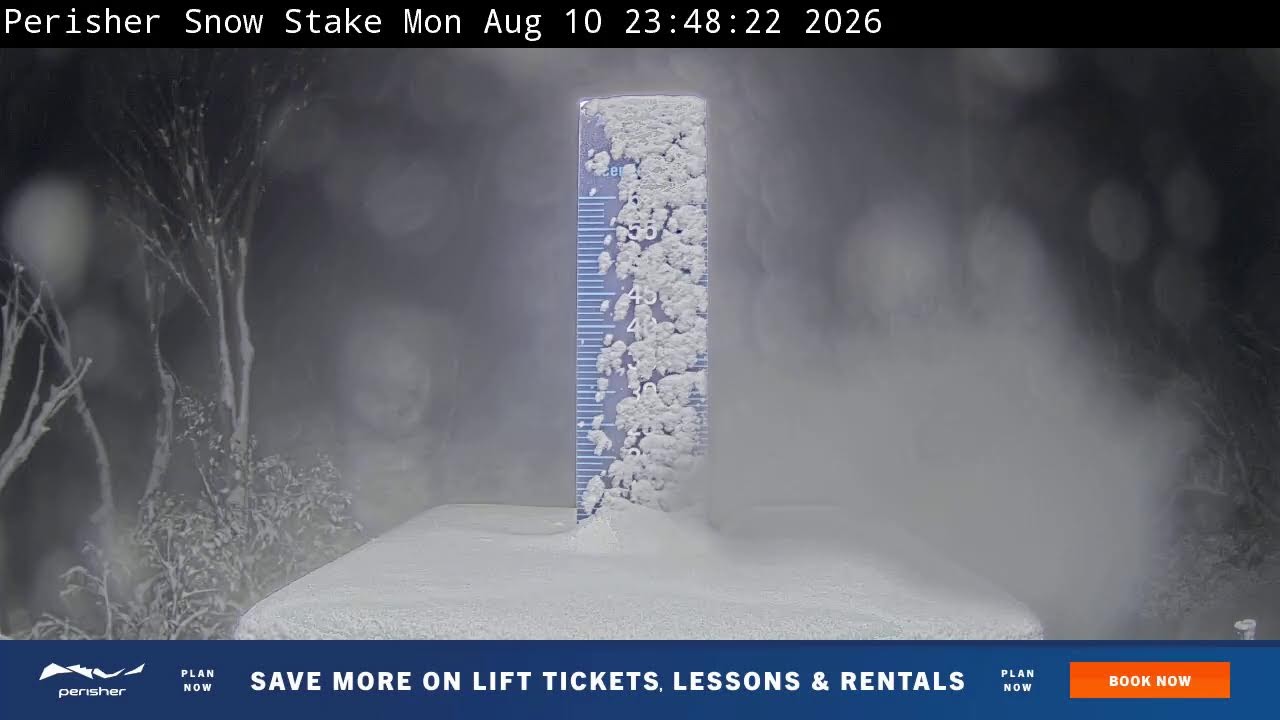 Perisher Snow Stake Live snow cam captured at 10 August 2026 at 11:56 pm AEST