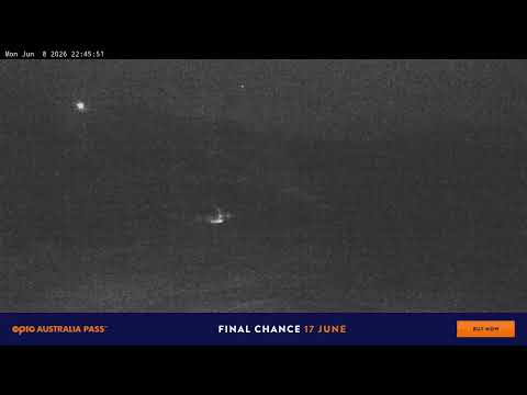 Perisher Blue Cow Live snow cam captured at 8 June 2026, 12:46 pm
