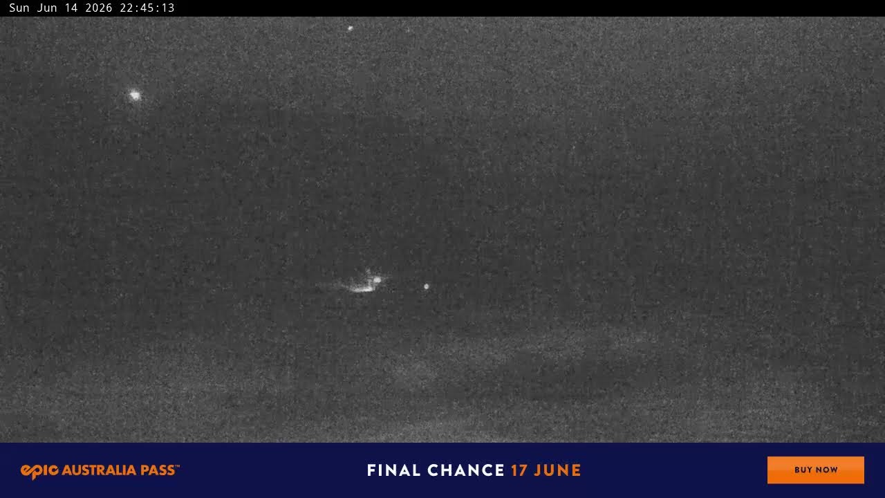 Perisher Blue Cow Live snow cam captured at 14 June 2026, 12:50 pm