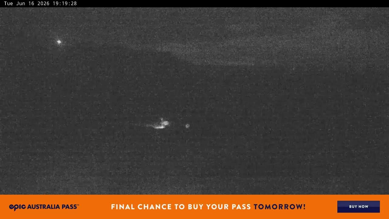 Perisher Blue Cow Live webcam frame