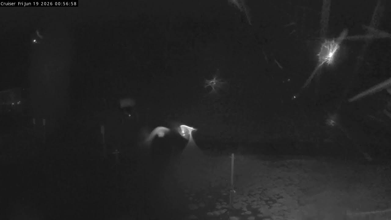 Thredbo Cruiser Area Live snow cam captured at 18 June 2026, 3:01 pm