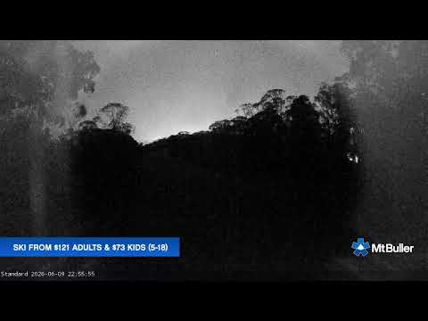 Mt Buller Standard Run Live snow cam captured at 9 June 2026, 12:58 pm