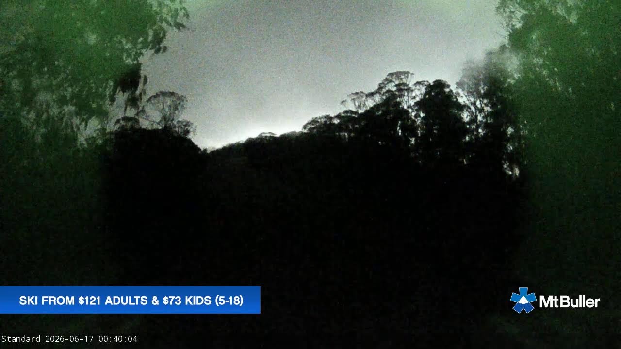 Mt Buller Standard Run Live snow cam captured at 16 June 2026, 2:42 pm