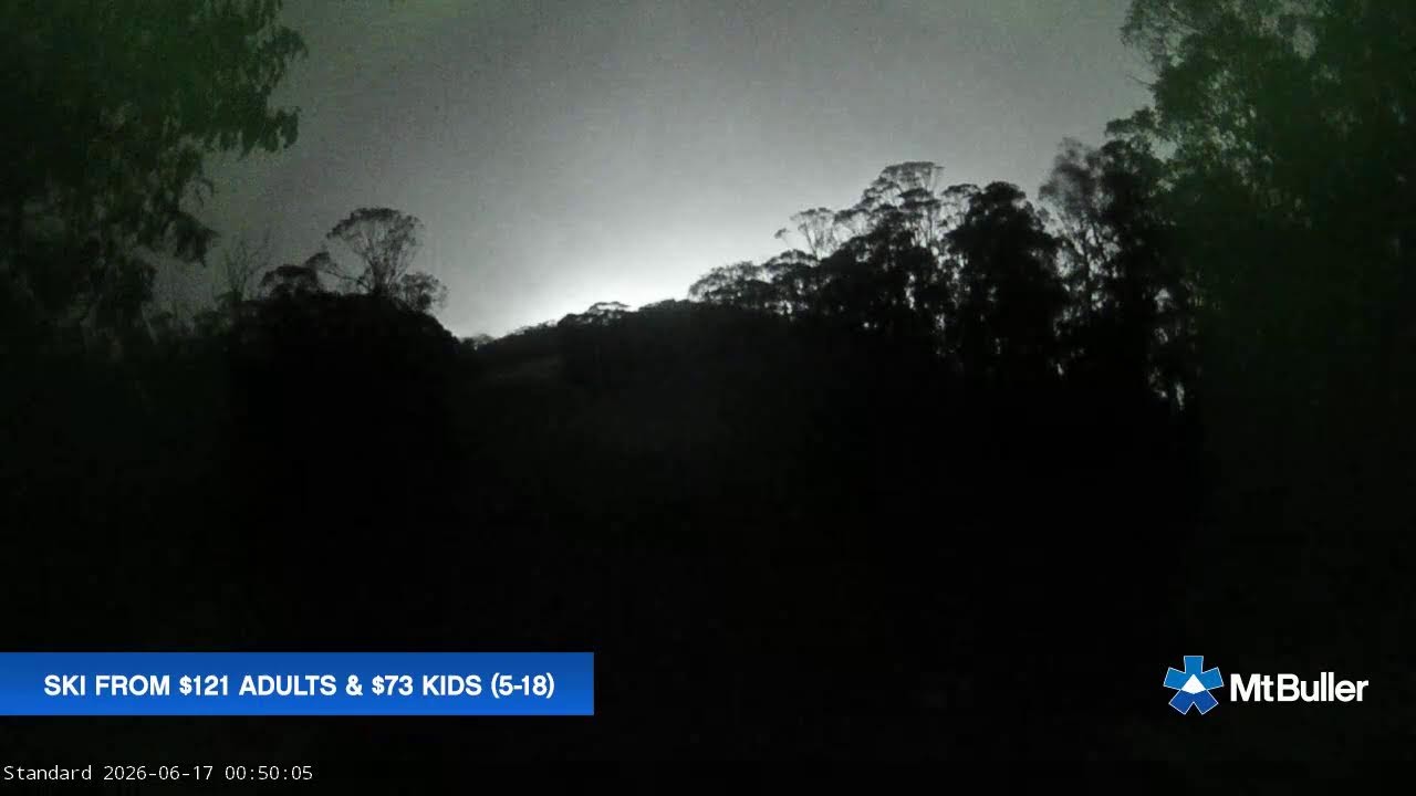 Mt Buller Standard Run Live snow cam captured at 16 June 2026, 2:54 pm