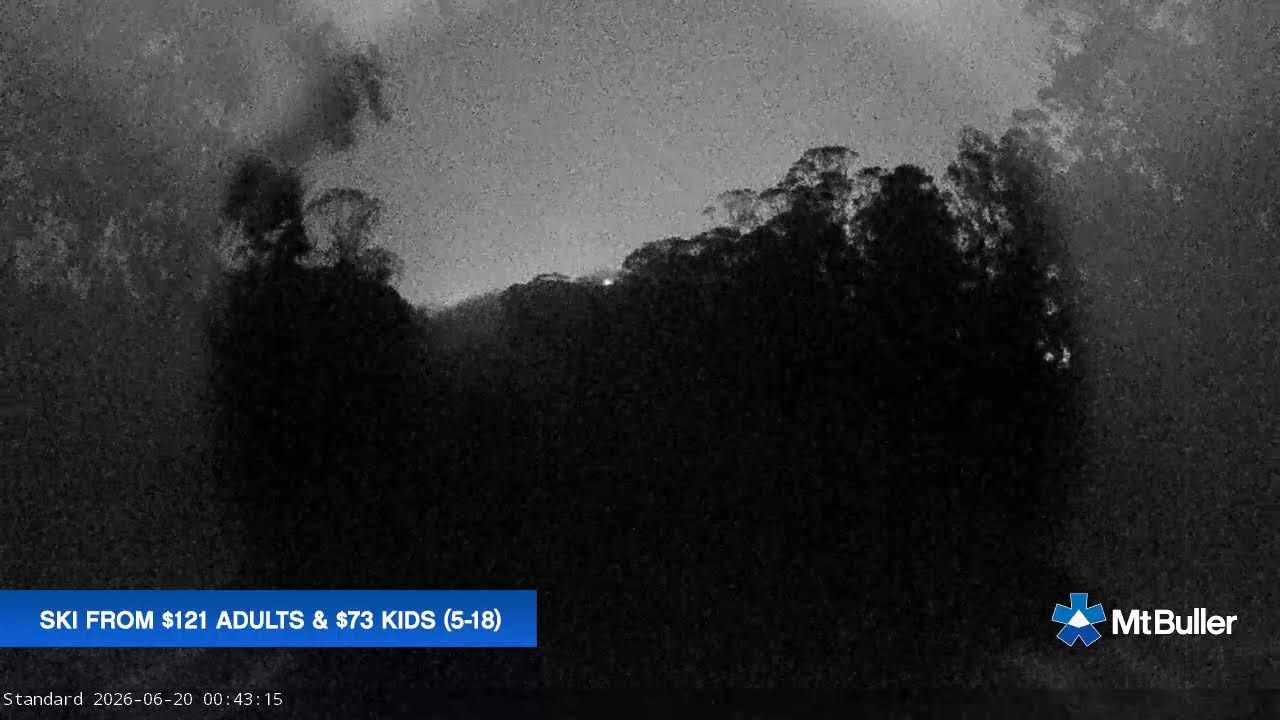 Mt Buller Standard Run Live snow cam captured at 19 June 2026, 2:47 pm