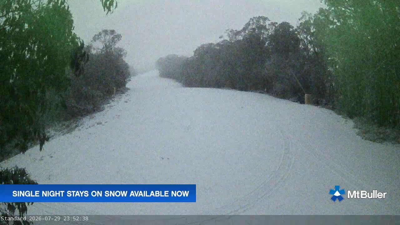 Mt Buller Standard Run Live snow cam captured at 29 July 2026 at 11:54 pm AEST