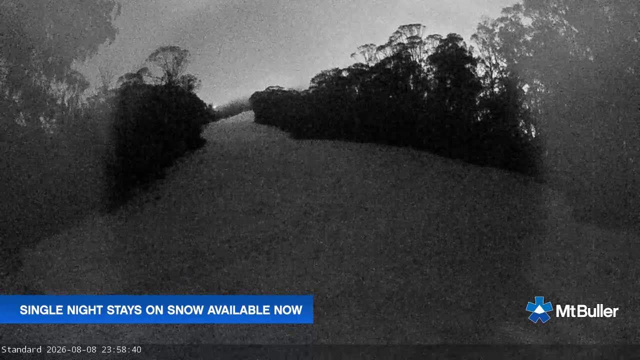 Mt Buller Standard Run Live snow cam captured at 8 August 2026 at 11:59 pm AEST
