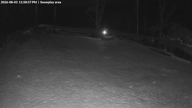 Corin Forest Snowplay Area Live snow cam captured at 3 August 2026 at 11:59 pm AEST