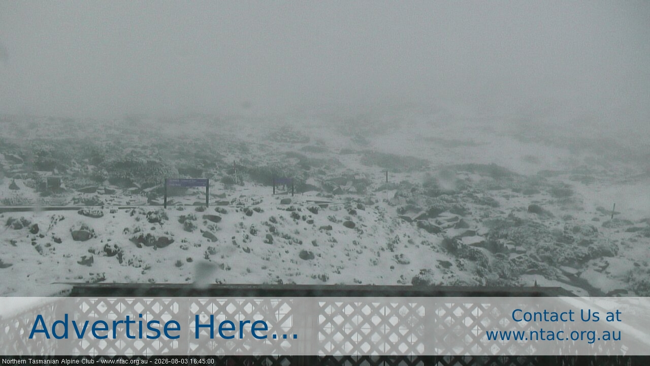 Ben Lomond NTAC Top Slopes snow cam captured at 3 August 2026 at 4:59 pm AEST