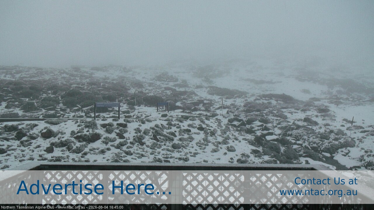 Ben Lomond NTAC Top Slopes snow cam captured at 4 August 2026 at 4:58 pm AEST