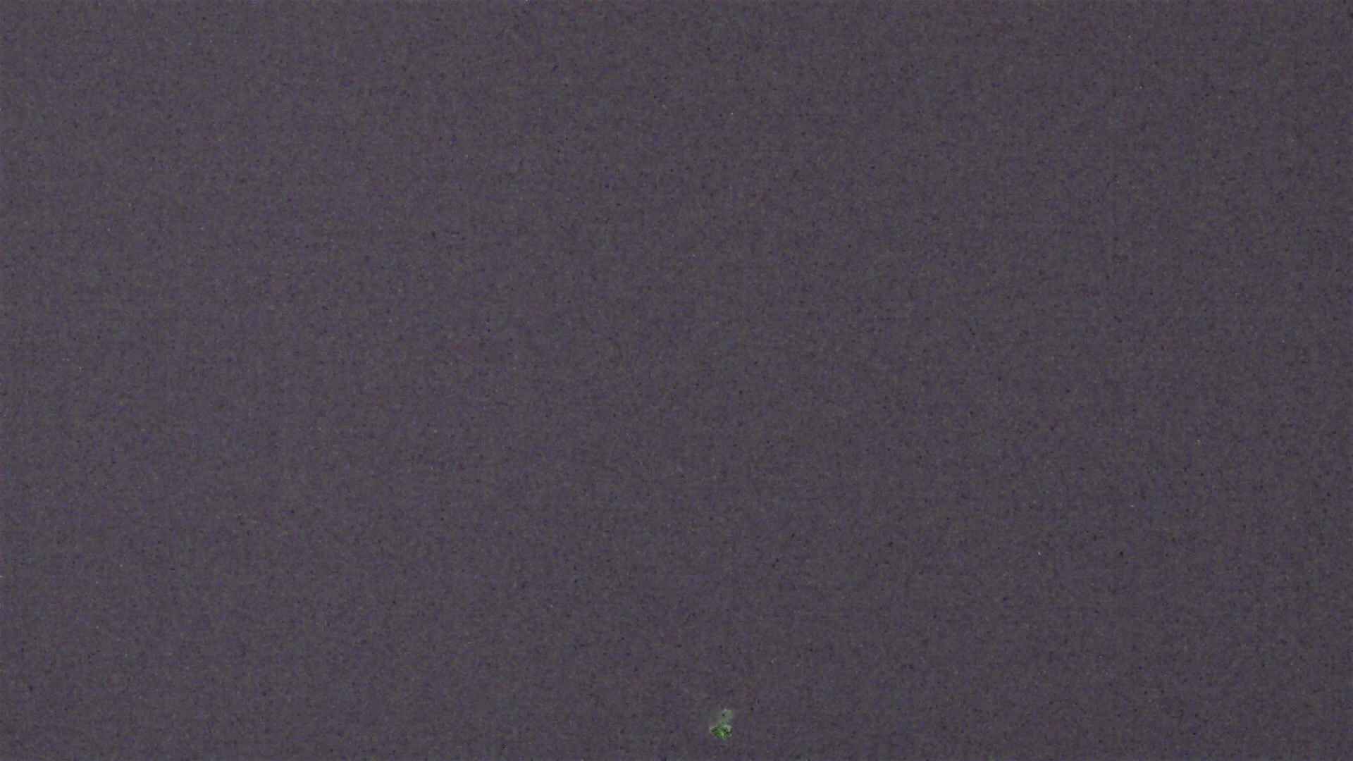 Cradle Mountain Dove Lake Carpark snow cam captured at 14 July 2026 at 9:17 pm AEST