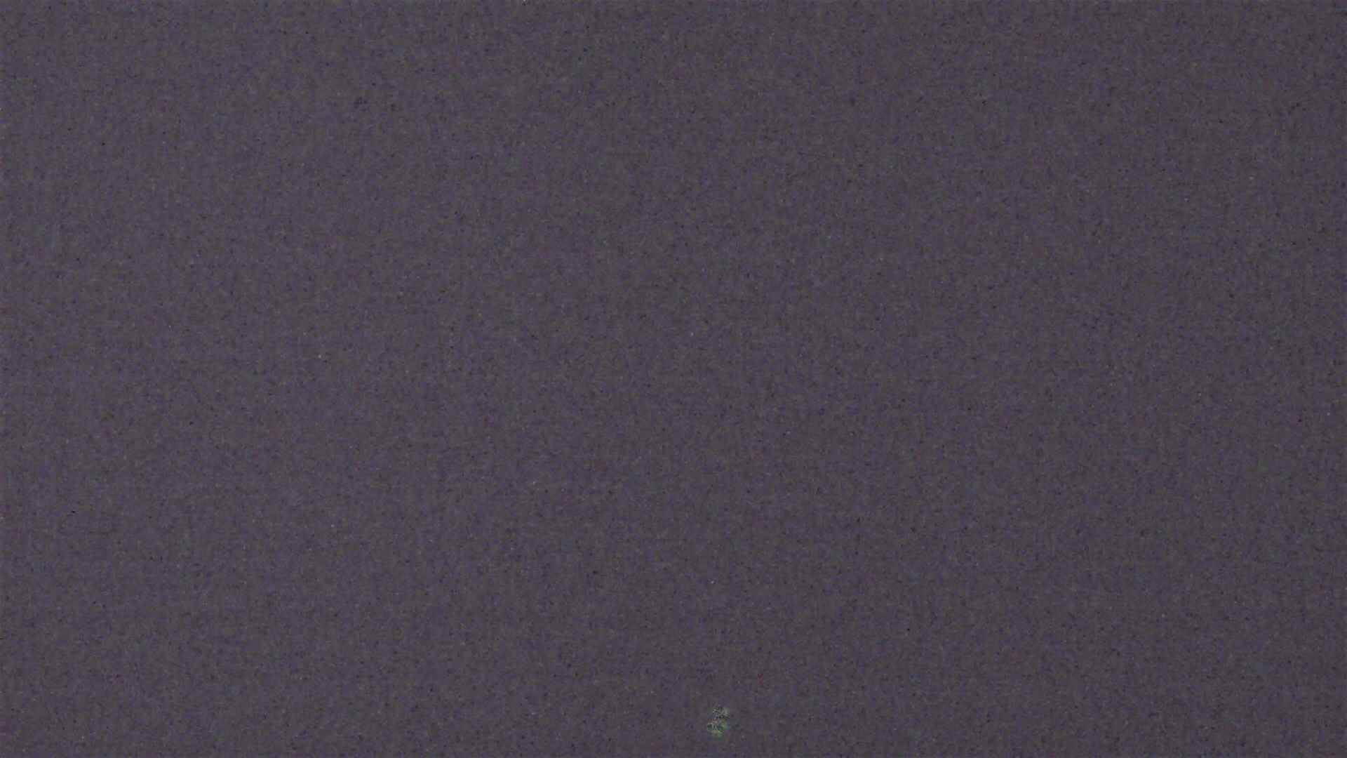 Cradle Mountain Dove Lake Carpark snow cam captured at 15 July 2026 at 9:34 pm AEST