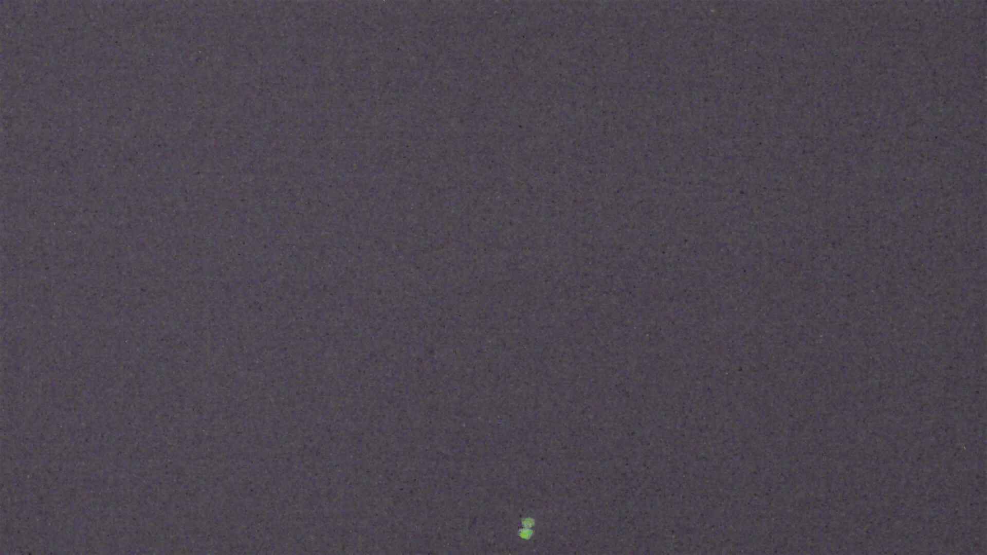 Cradle Mountain Dove Lake Carpark snow cam captured at 17 July 2026 at 9:08 pm AEST