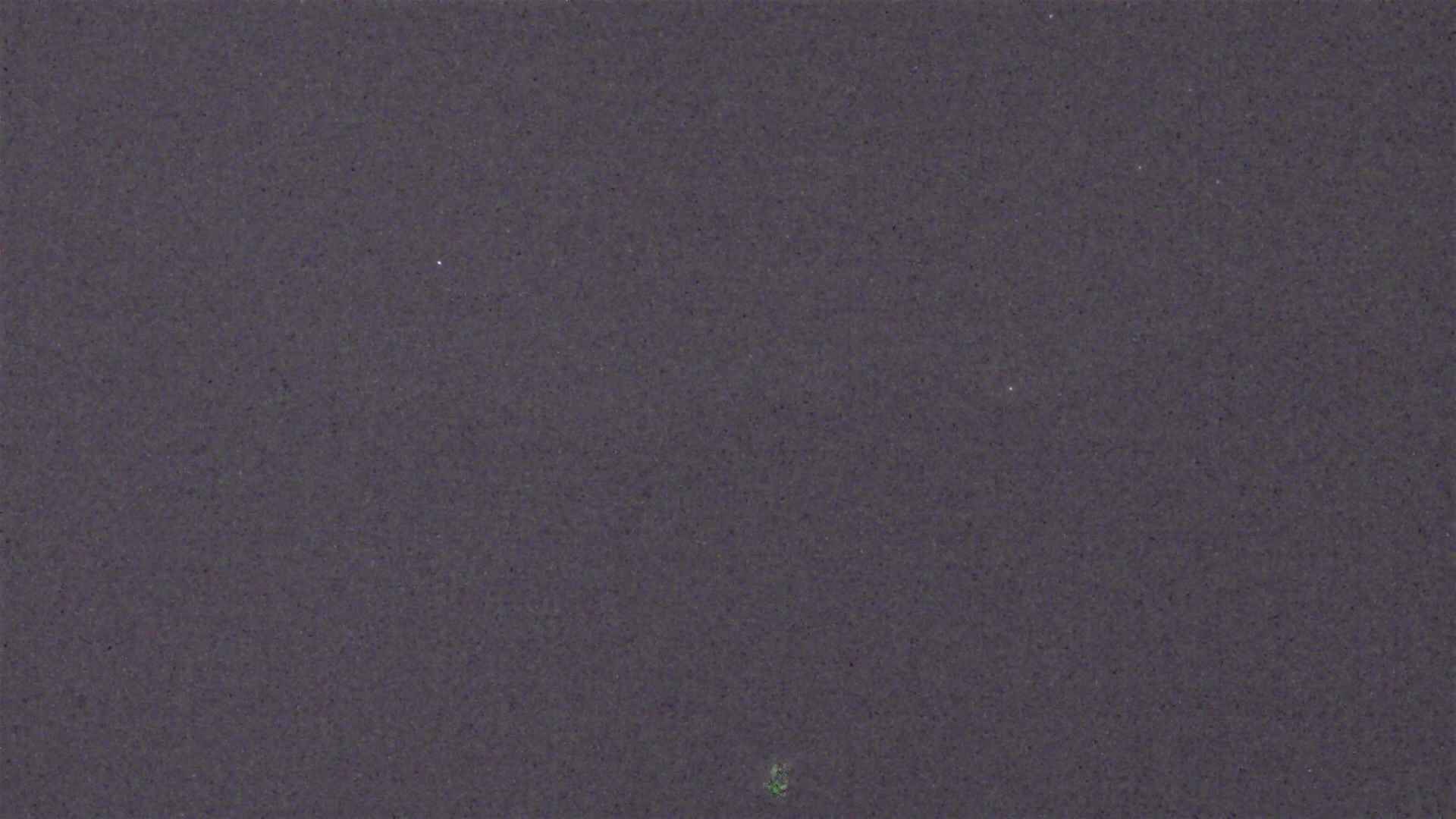 Cradle Mountain Dove Lake Carpark snow cam captured at 18 July 2026 at 9:25 pm AEST