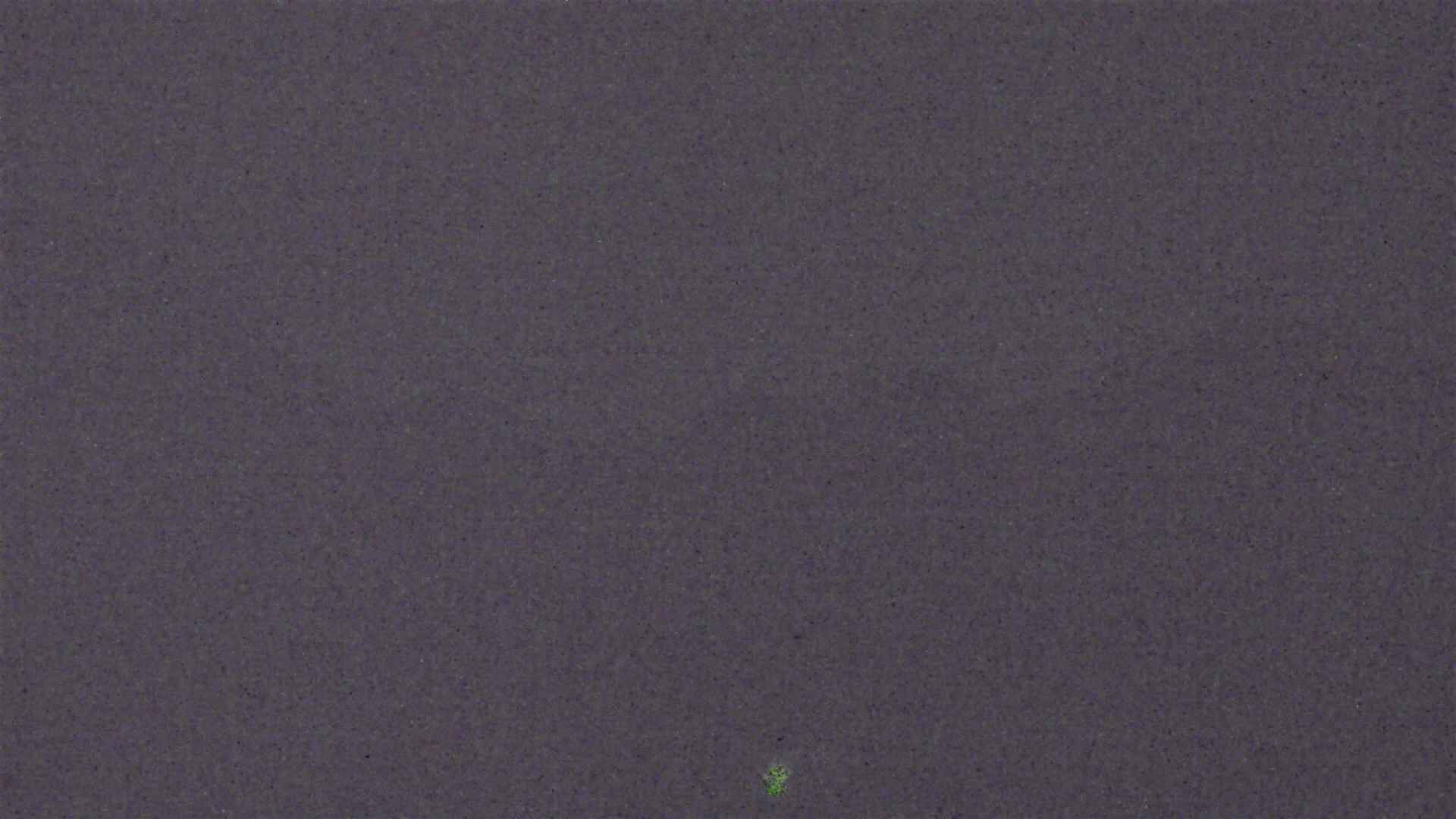 Cradle Mountain Dove Lake Carpark snow cam captured at 19 July 2026 at 9:11 pm AEST