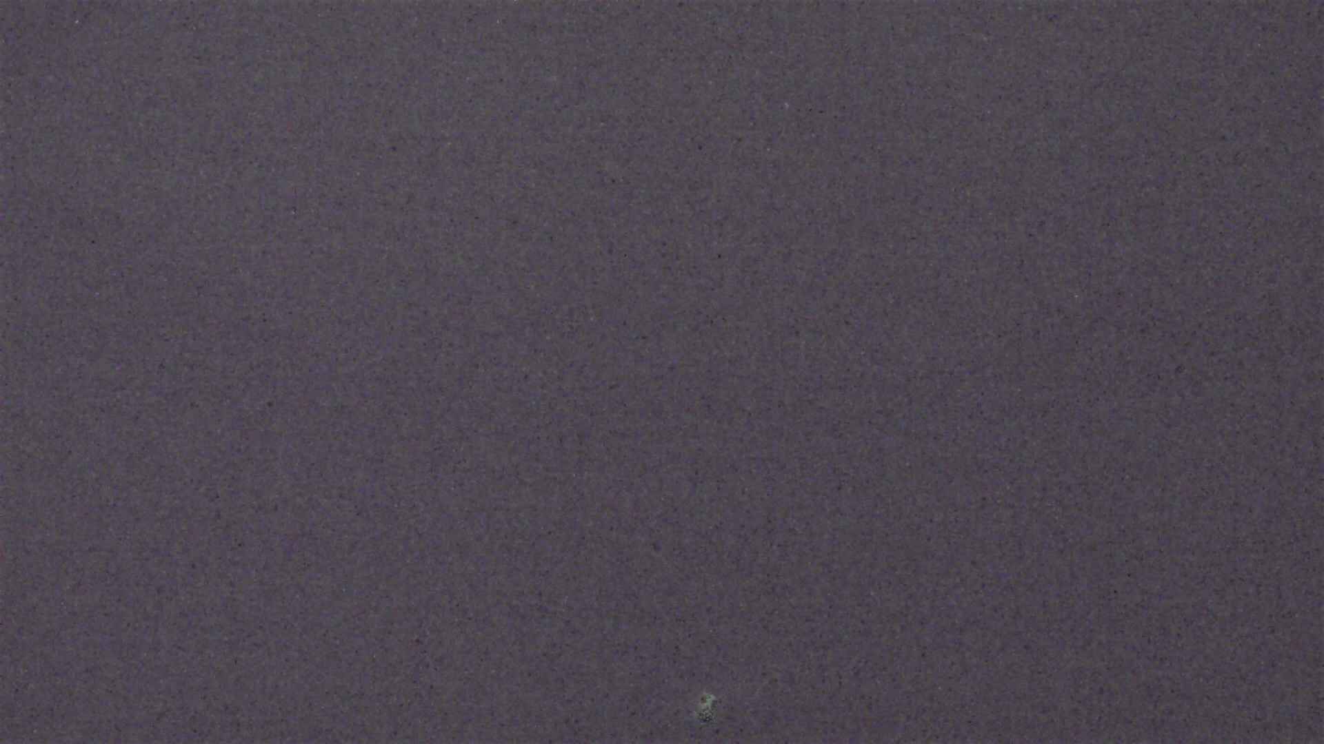 Cradle Mountain Dove Lake Carpark snow cam captured at 20 July 2026 at 8:57 pm AEST