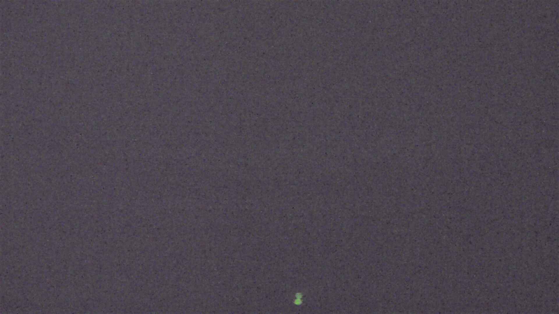 Cradle Mountain Dove Lake Carpark snow cam captured at 21 July 2026 at 9:16 pm AEST
