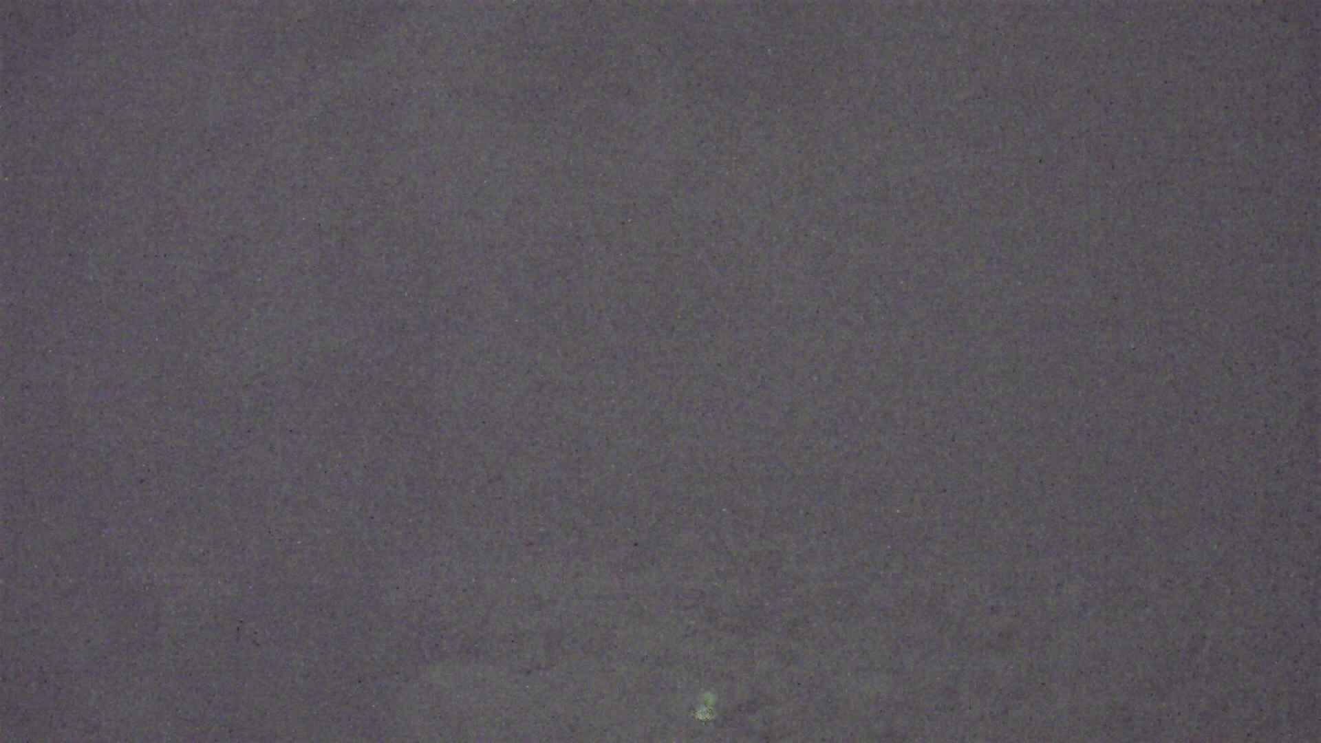 Cradle Mountain Dove Lake Carpark snow cam captured at 23 July 2026 at 9:19 pm AEST