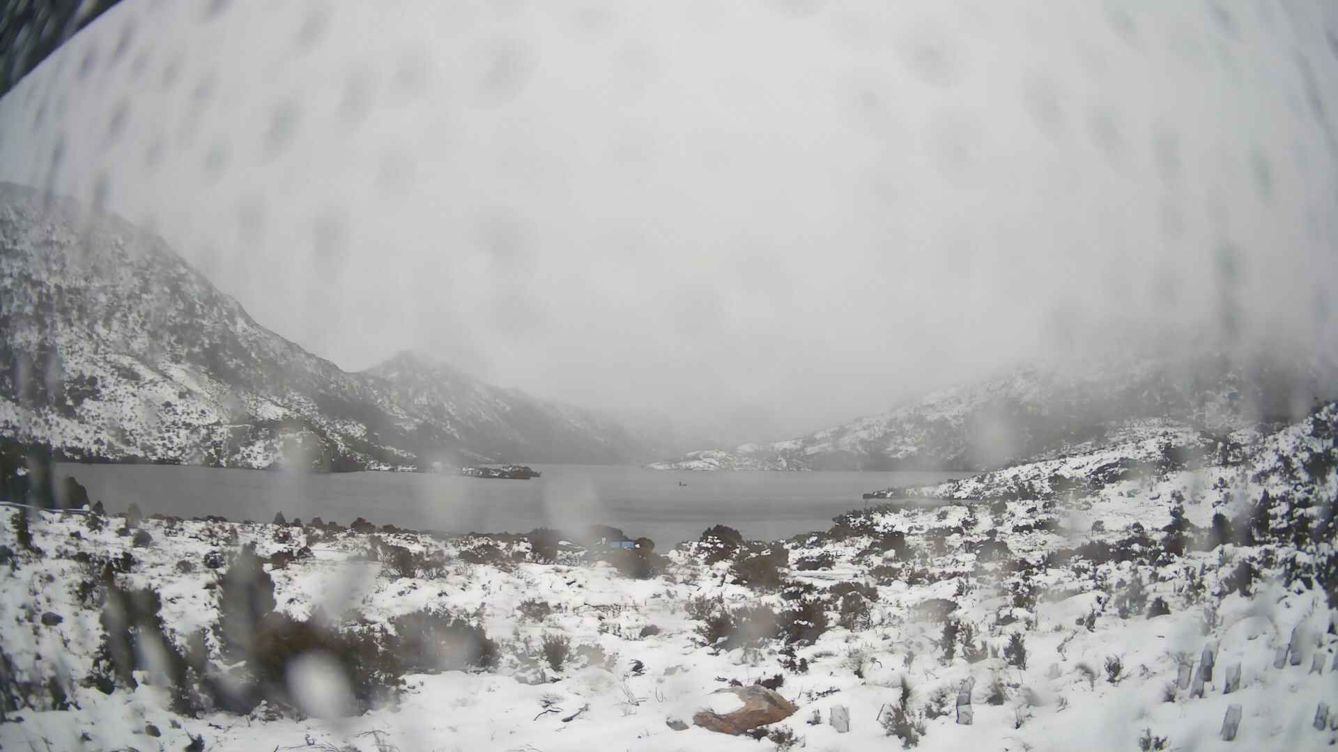 Cradle Mountain Dove Lake Carpark snow cam captured at 24 July 2026 at 2:22 pm AEST