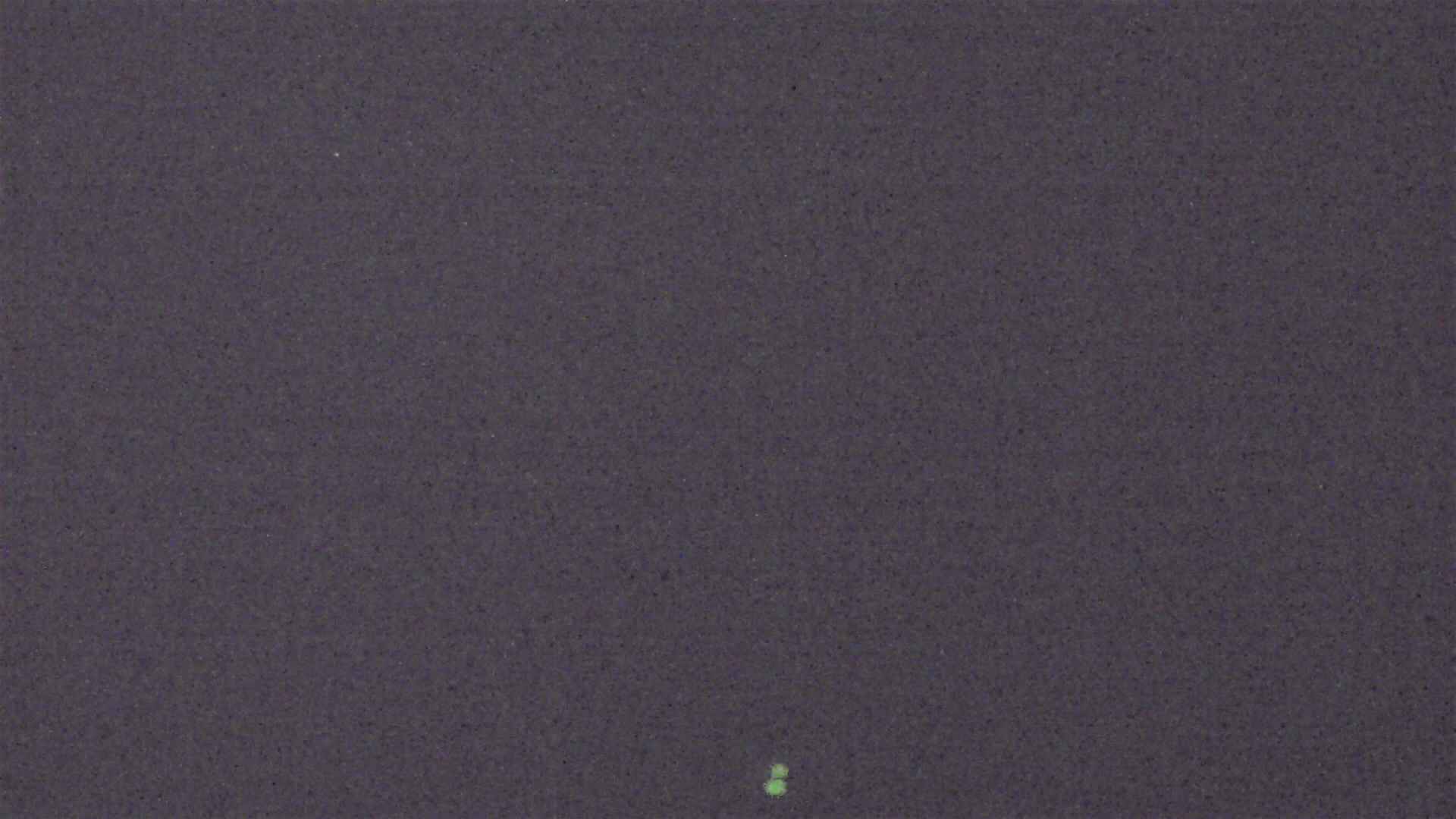 Cradle Mountain Dove Lake Carpark snow cam captured at 2 August 2026 at 9:50 pm AEST