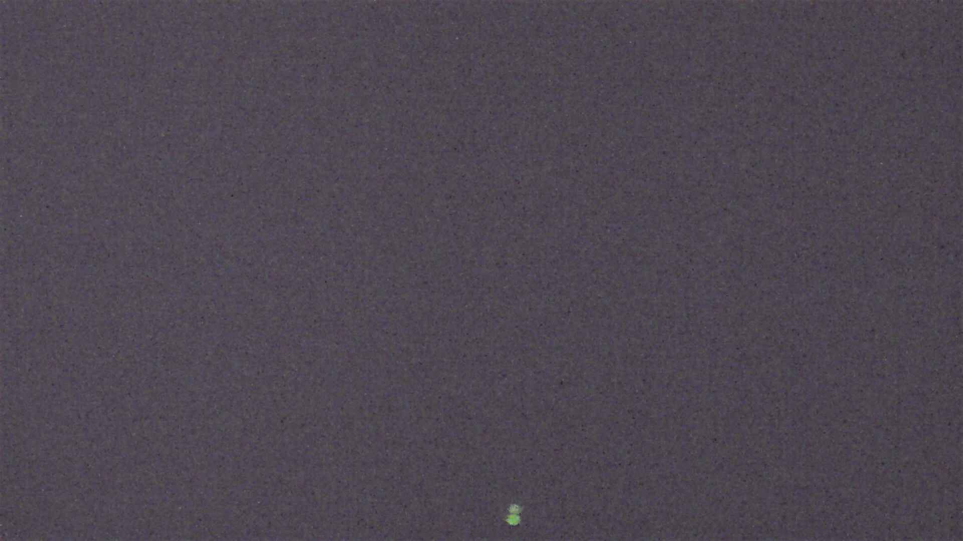 Cradle Mountain Dove Lake Carpark snow cam captured at 3 August 2026 at 9:33 pm AEST