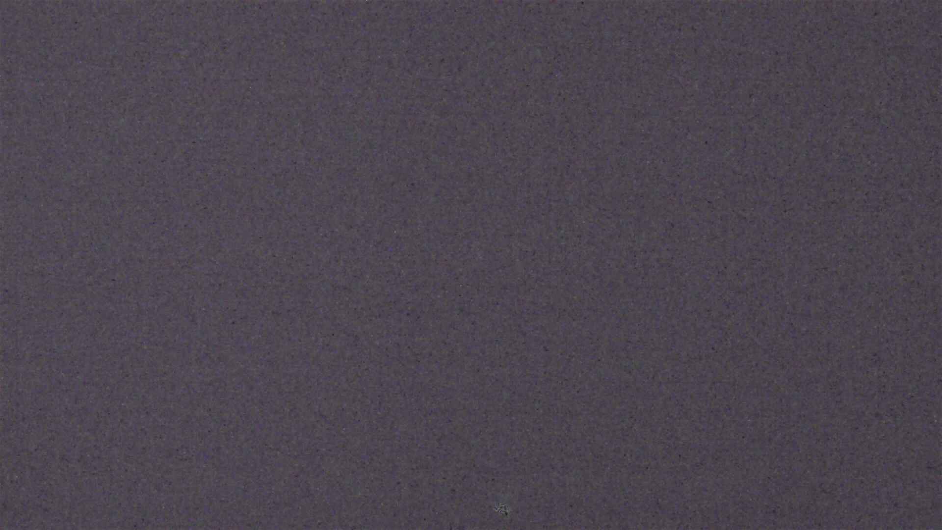 Cradle Mountain Dove Lake Carpark snow cam captured at 4 August 2026 at 9:19 pm AEST